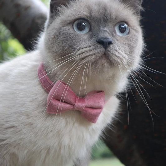 Velvet Cat Collar with Bowknot