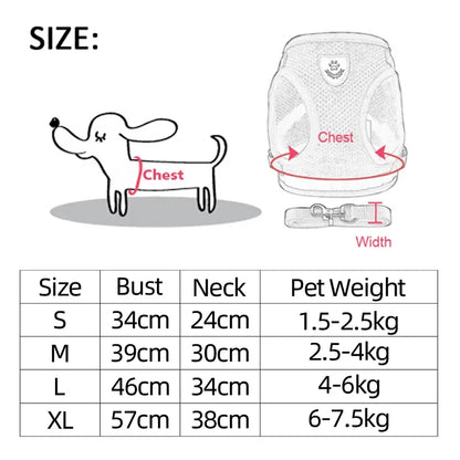 Foldable Pet Harness