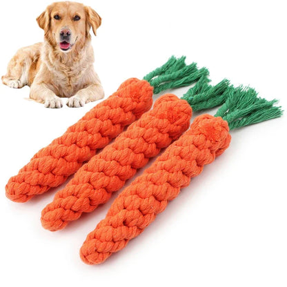 Interactive Braided Dog Toy