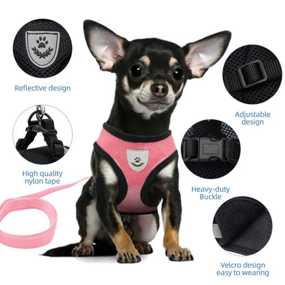 Foldable Pet Harness